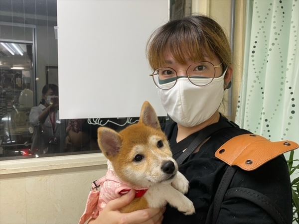 写真