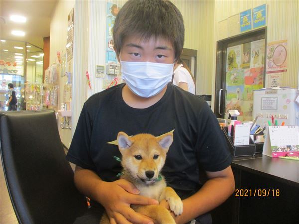 写真
