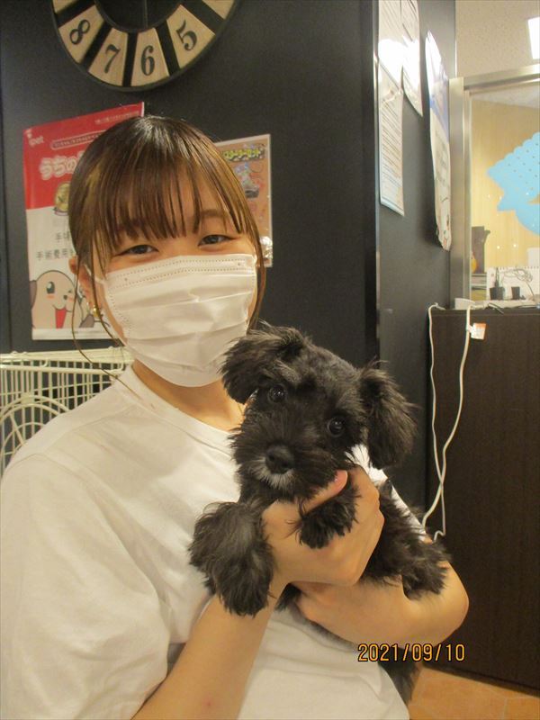 写真