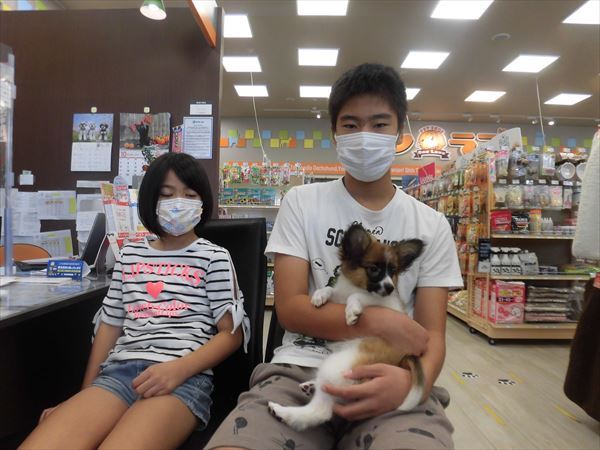 写真