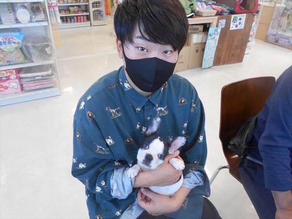 写真