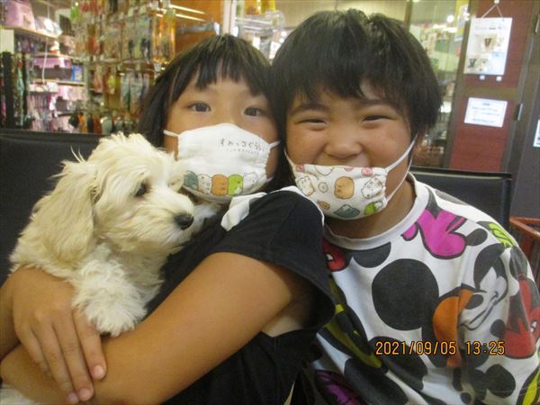 写真
