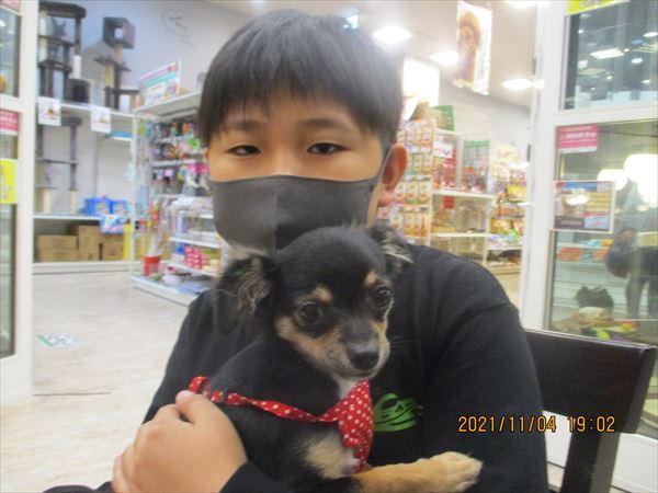 写真