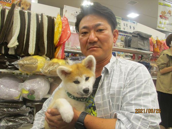 写真