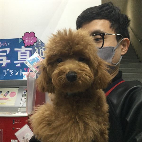 写真