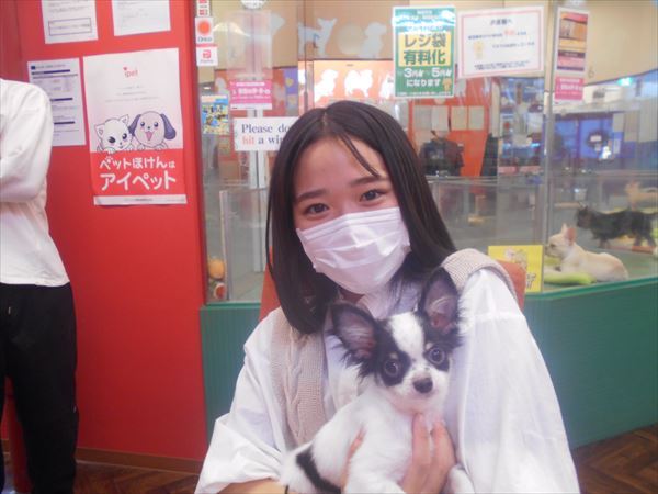 写真