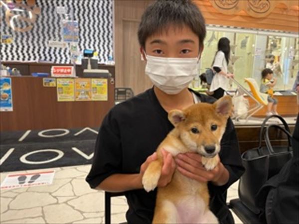 写真