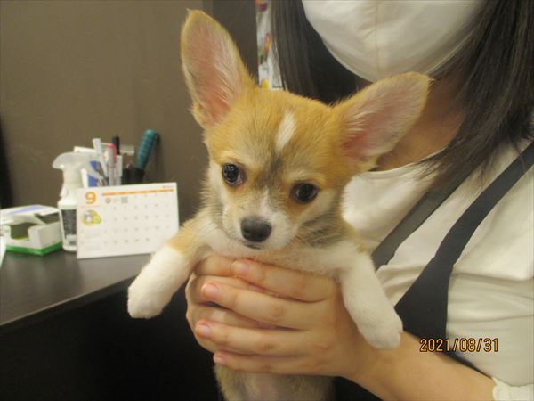 写真