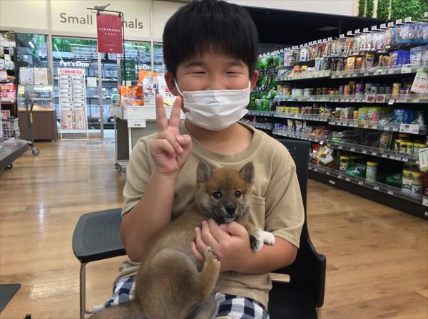写真