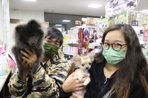写真
