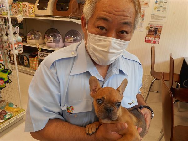 写真