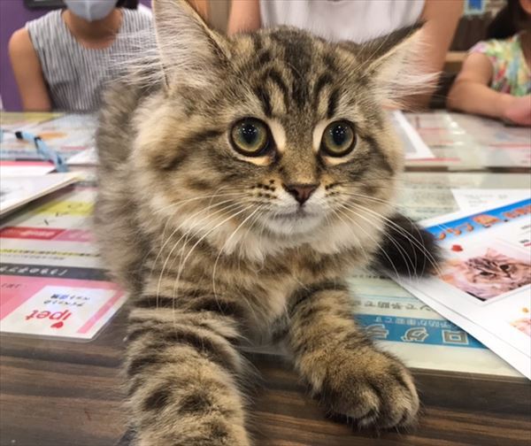 写真