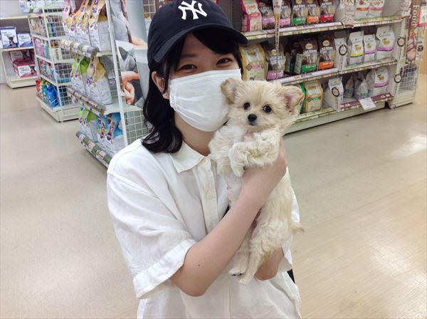 写真
