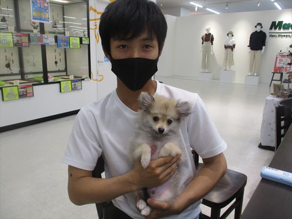 写真