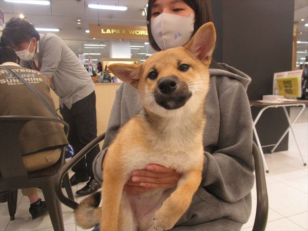 写真