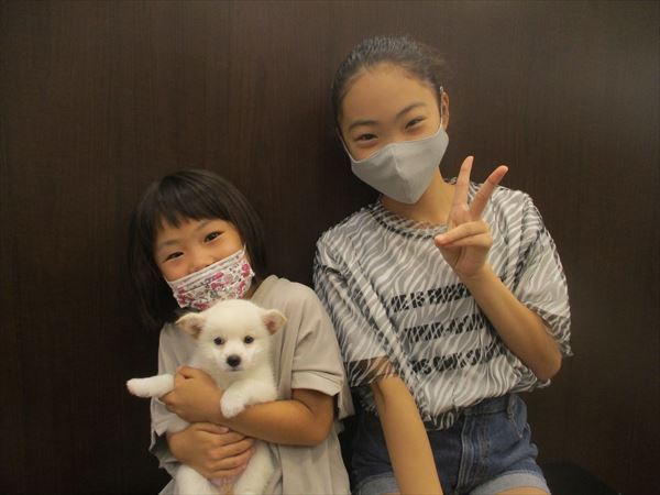 写真