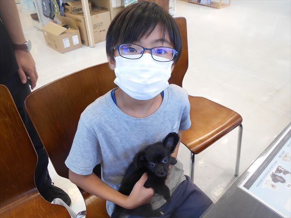 写真