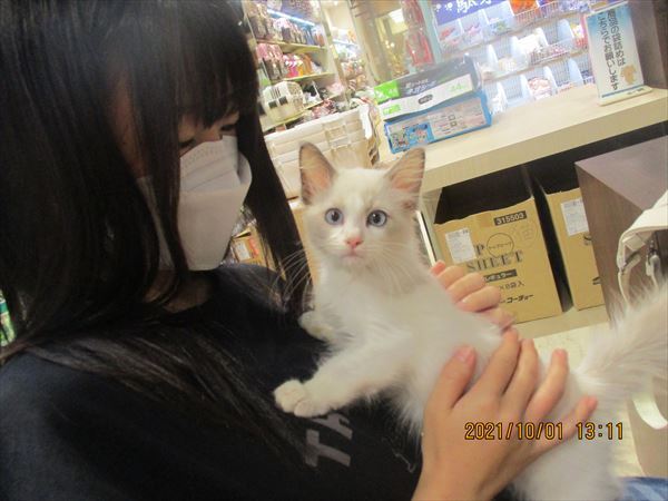写真