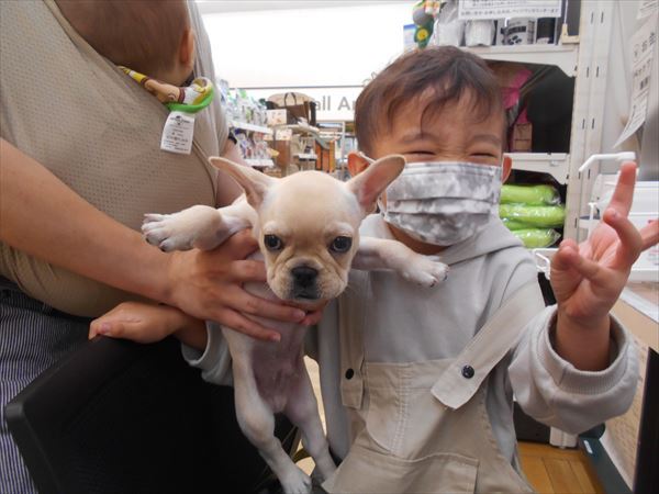 写真