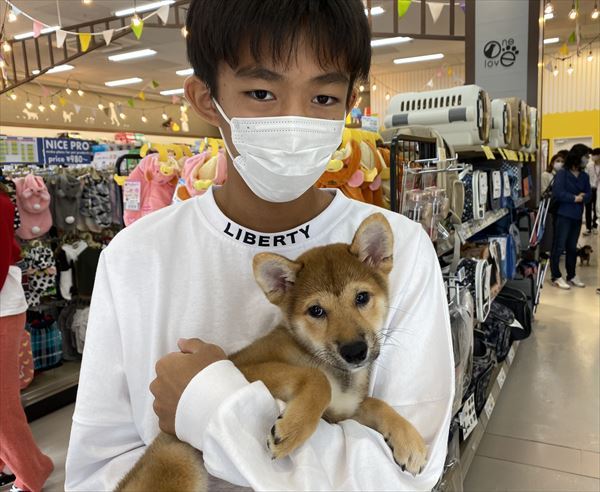 写真