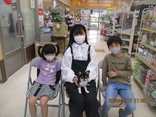 写真