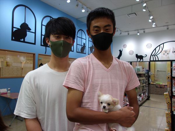 写真