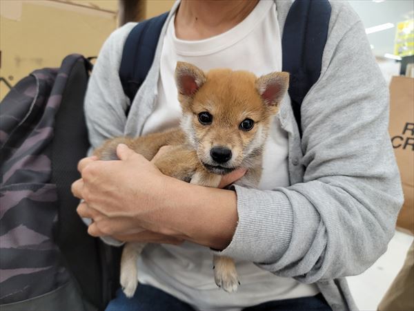 写真