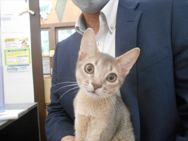 写真