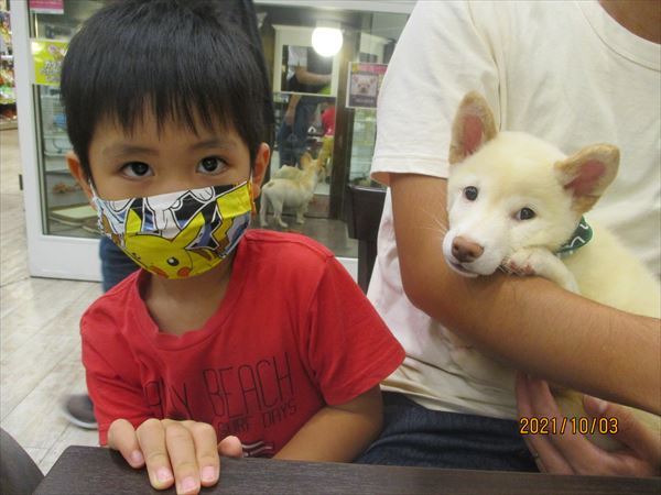 写真