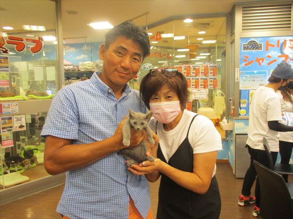 写真