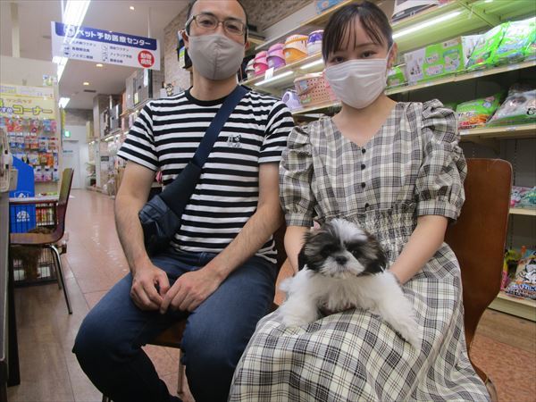 写真