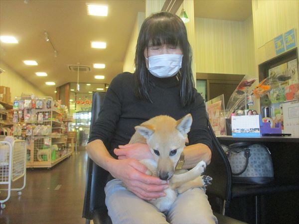 写真