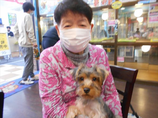 写真