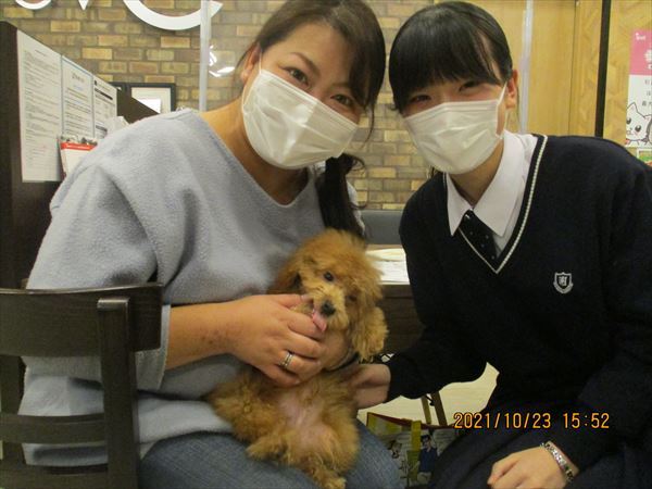 写真