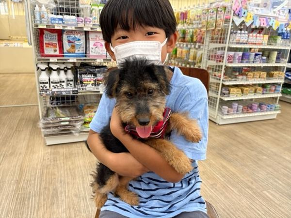 写真