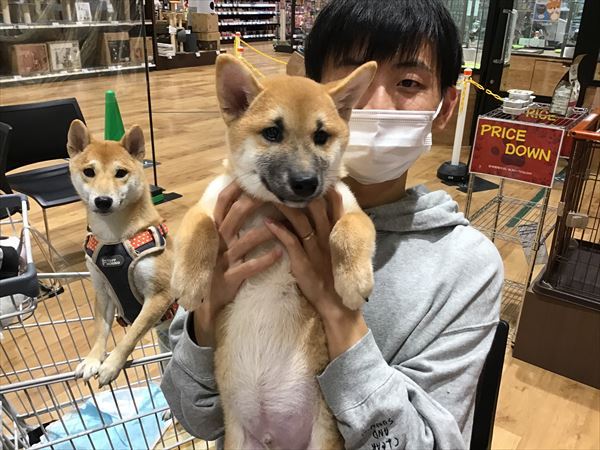 写真