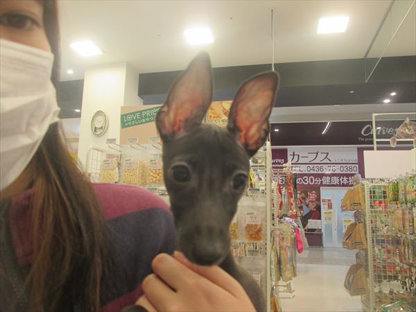 写真