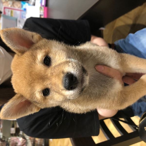 写真