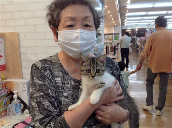 写真