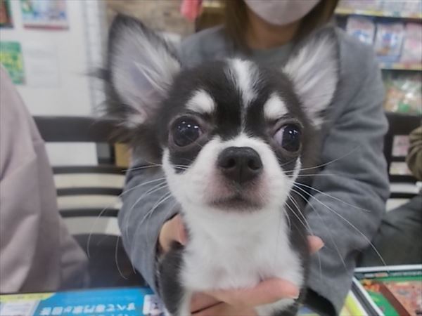 写真