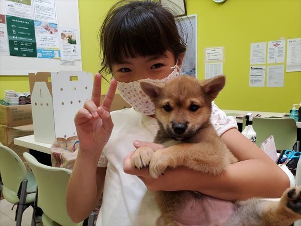 写真