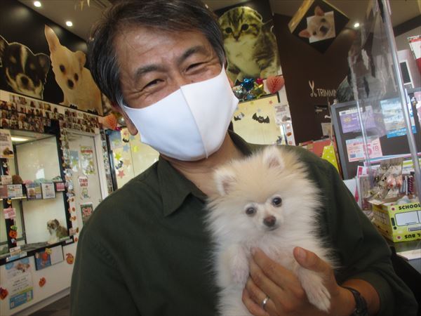 写真