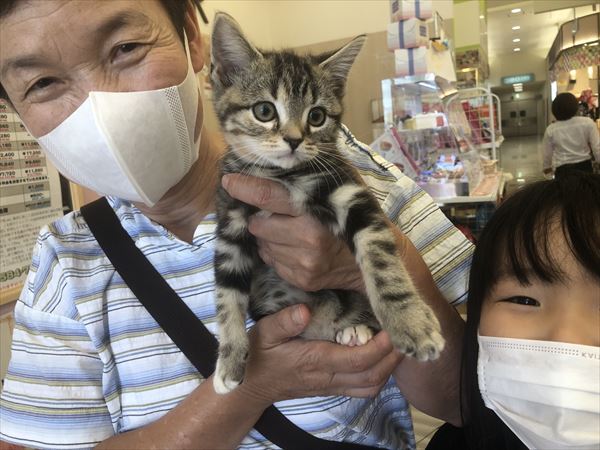 写真