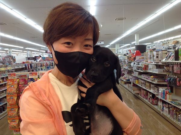 写真