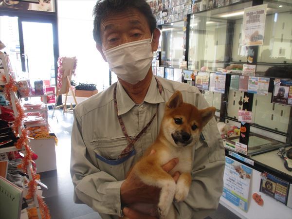 写真