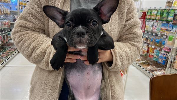 写真