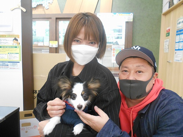 写真