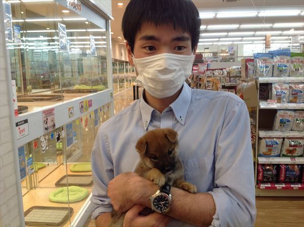 写真
