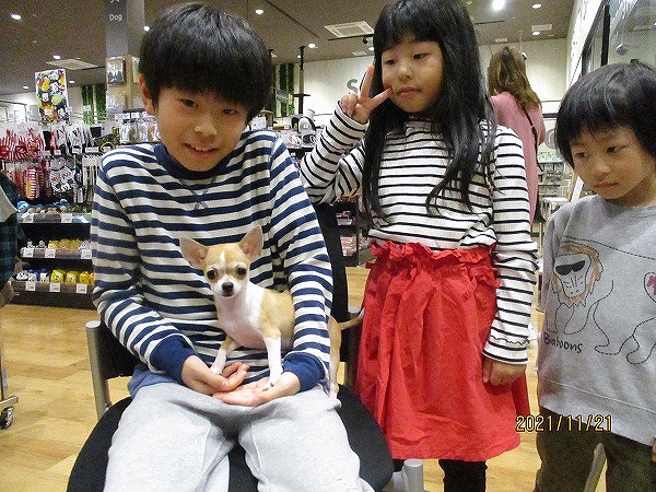 写真