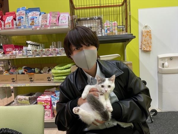 写真